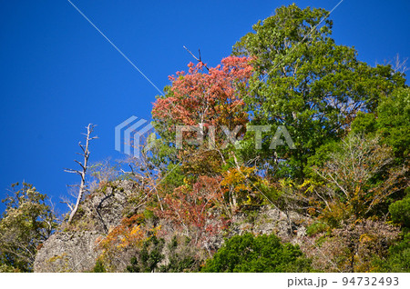 袋田の滝周辺の紅葉の山 袋田の滝周辺の紅葉の山 94732493