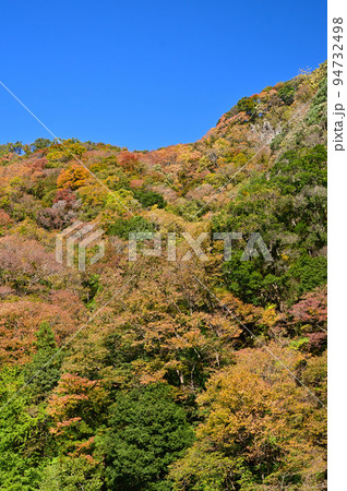 袋田の滝周辺の紅葉の山 袋田の滝周辺の紅葉の山 94732498