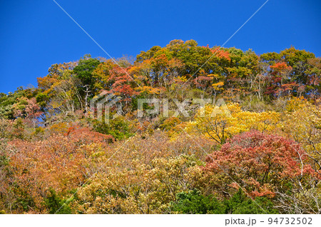 袋田の滝周辺の紅葉の山 袋田の滝周辺の紅葉の山 94732502