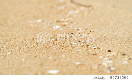 Fine sand with grains of shells close-up Fine sand with grains of shells close-up 94732565