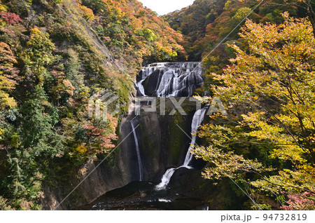 紅葉シーズンを迎えた袋田の滝 紅葉シーズンを迎えた袋田の滝 94732819
