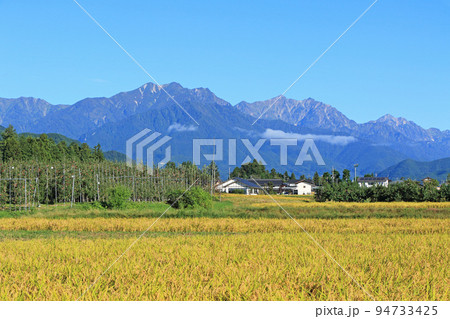 山麓から望む秋の北アルプス後立山連峰 山麓から望む秋の北アルプス後立山連峰 94733425