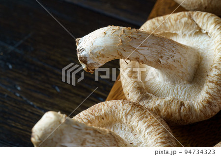 椎茸 94734323