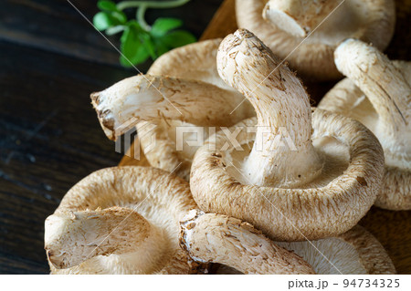 椎茸 94734325