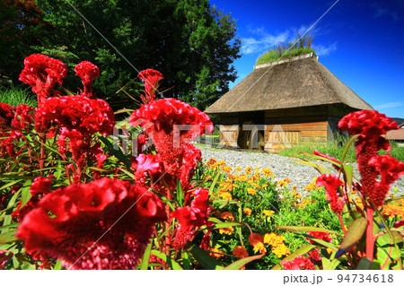 岩手県遠野市　秋の山口の水車小屋 94734618