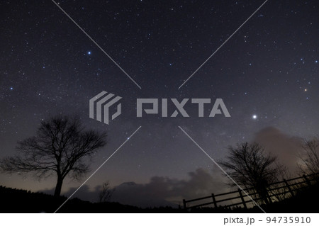 3月に牧草地で撮影した、二本の木と天の川が見える満天の星空 94735910