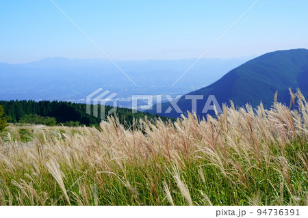 葛城高原のススキの原と笹の原・背景金剛山 葛城高原のススキの原と笹の原・背景金剛山 94736391