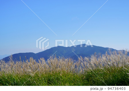 葛城高原のススキの原と笹の原・金剛山背景 94736403