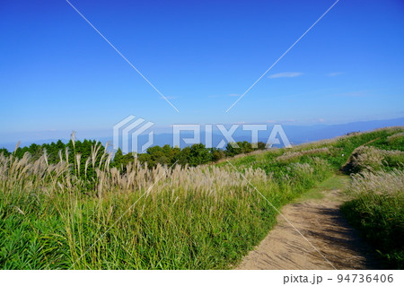 葛城高原のススキの原と笹の原 94736406