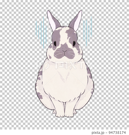 Ash rabbit broken expression (sorrow) Ash rabbit broken expression (sorrow) 94738174