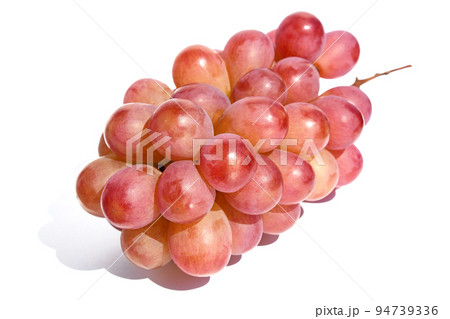 ぶどう コトピー ぶどう コトピー 94739336