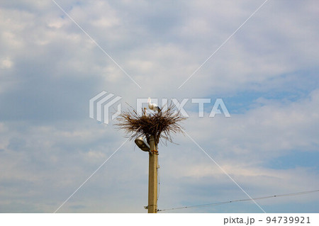 Stork in a nest on a pole. Imitation. A large bird's nest with a family of storks made of branches and brushwood on a lamppost on the blue sky background. Beautiful bird stork in natural nature 94739921