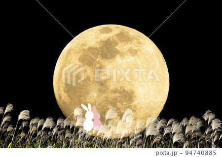 お月見するウサギのカップル。秋の夜のイメージ。中秋の名月とススキ。 94740885