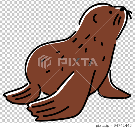 水族館、海洋生物、海狗 水族館、海洋生物、海狗 94741443