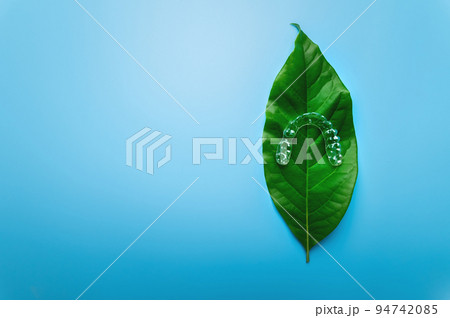 invisible plastic aligners lie on a green juicy leaf from a flower and a blue background. orthodontics and dentistry, gentle dental care 94742085