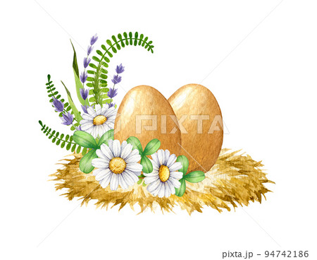 Bird eggs with daisy flowers watercolor illustration. Hand drawn pair of bird eggs on the hay roost. Bird egg with spring flowers Easter decor element. Isolated on white background 94742186