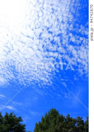 爽やかな青空と秋の空うろこ雲 爽やかな青空と秋の空うろこ雲 94742870
