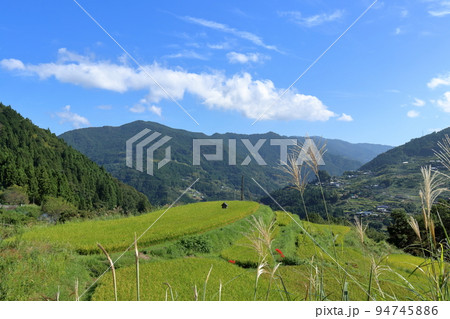 八畝の棚田風景　秋の空　（高知県　大豊町） 94745886