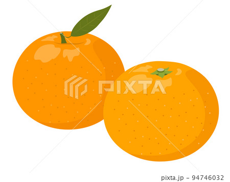 みかん みかん 94746032