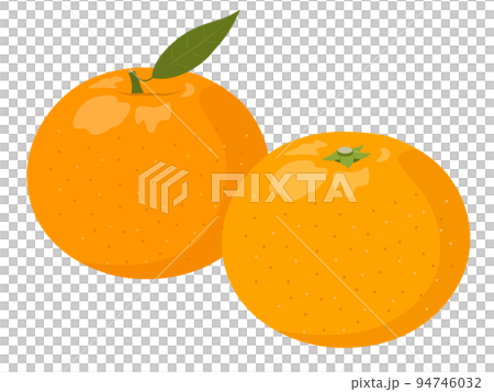 みかん みかん 94746032
