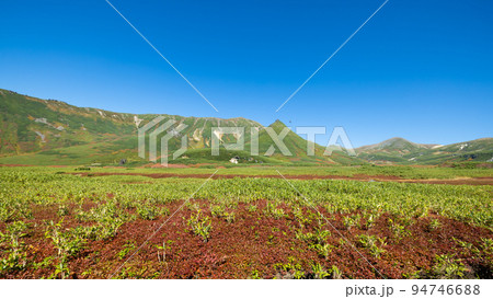 秋の大雪山 ハイキング 当麻岳 秋の大雪山 ハイキング 当麻岳 94746688