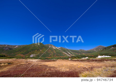 秋の大雪山　ハイキング 94746734