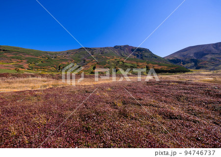 秋の大雪山　ハイキング　旭岳 94746737