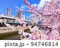 春の横浜市中区の宮川橋近辺から見る大岡川。満開の桜咲く都橋商店街の風景 94746814