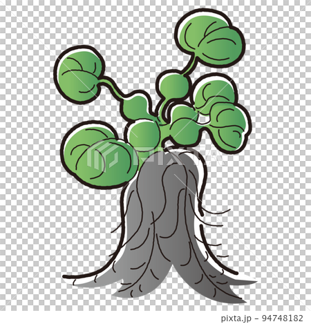 ホテイソウのイラスト（水草） 94748182