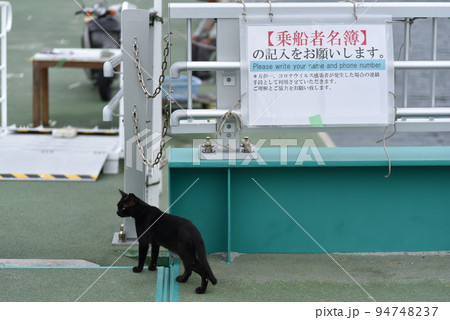 宮城県石巻市にある田代島【通称:猫島】の風景 宮城県石巻市にある田代島【通称:猫島】の風景 94748237