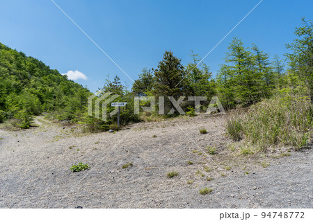小浅間山　登山道の風景　長野県　軽井沢町 94748772