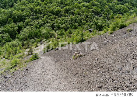 小浅間山 登山道の風景 長野県 軽井沢町 小浅間山 登山道の風景 長野県 軽井沢町 94748790