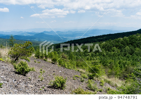 小浅間山 登山道の風景 長野県 軽井沢町 小浅間山 登山道の風景 長野県 軽井沢町 94748791