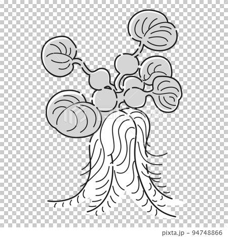 (黑白)蛺蝶(水生植物)插圖 (黑白)蛺蝶(水生植物)插圖 94748866