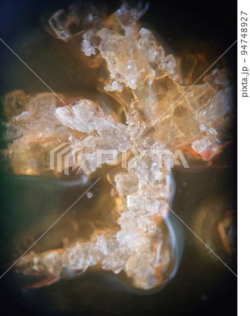 不均一に形成された結晶 94748927