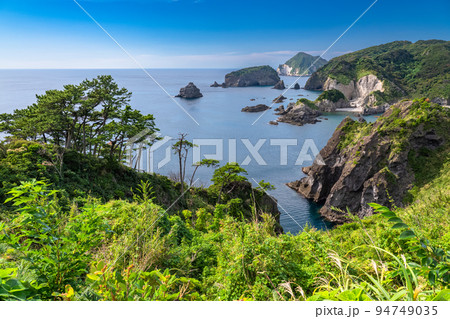 《静岡県》あいあい岬の海岸線・伊豆の南端奥石廊崎 94749035