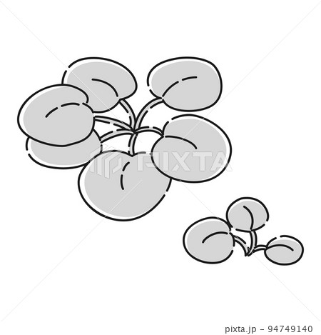 （白黒）フロッグピッドのイラスト（水草） 94749140