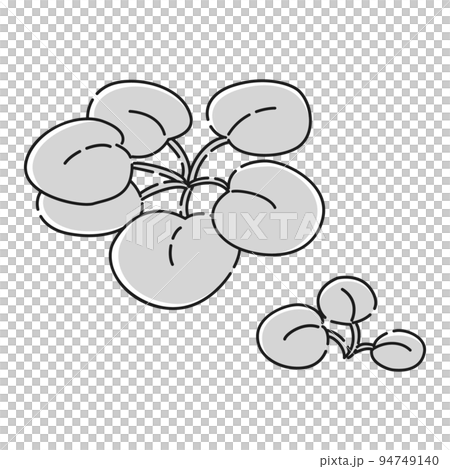 （白黒）フロッグピッドのイラスト（水草） 94749140