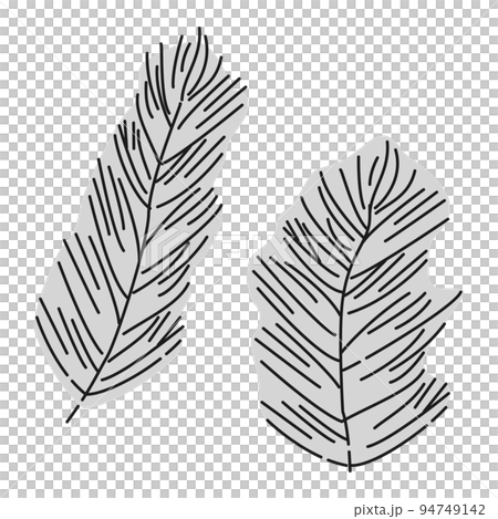 (Black and white) Matsumo illustration (aquatic plants) 94749142