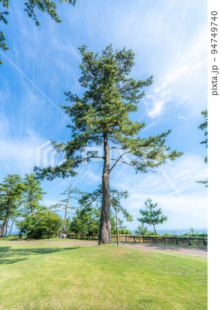 尼御前岬 尼御前岬 94749740