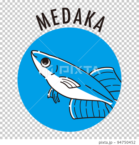 鱂圖標 (Hikari Medaka) 鱂圖標 (Hikari Medaka) 94750452
