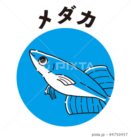 メダカのアイコン(ヒカリメダカ) メダカのアイコン(ヒカリメダカ) 94750457