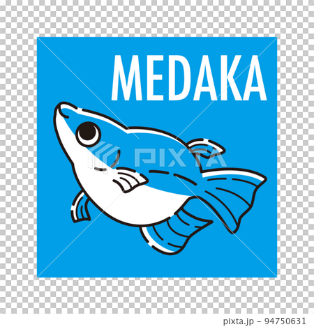 Medaka icon (Dharma Medaka) Medaka icon (Dharma Medaka) 94750631