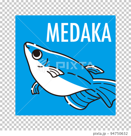 Medaka 圖標(半 Dharma Medaka) Medaka 圖標(半 Dharma Medaka) 94750632