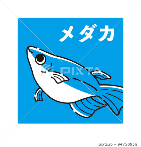 メダカのアイコン(半ダルマメダカ) メダカのアイコン(半ダルマメダカ) 94750958