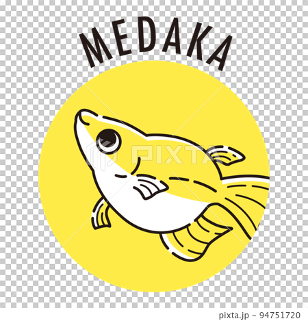 Medaka icon (Dharma Medaka) Medaka icon (Dharma Medaka) 94751720