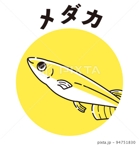 メダカのアイコン メダカのアイコン 94751830
