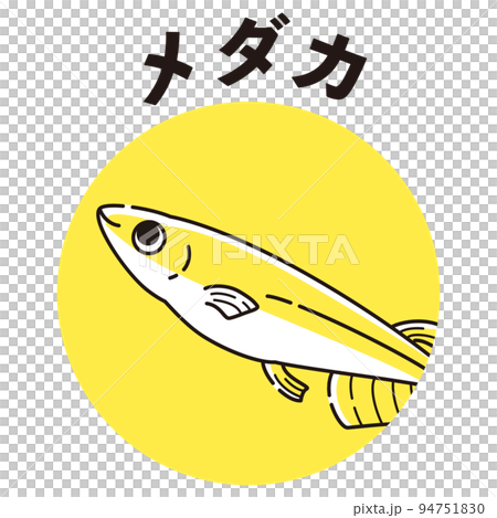 Medaka icon Medaka icon 94751830