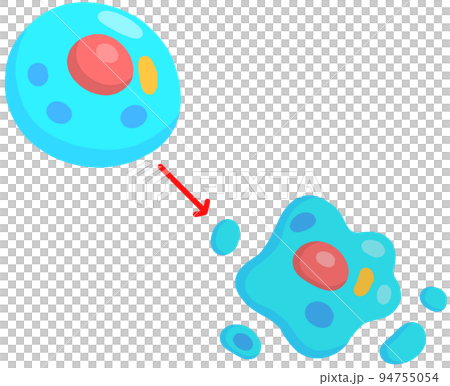 アポトーシスのイラスト素材 [94755054] - PIXTA
