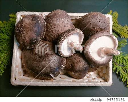 生椎茸　かご盛① 94755188